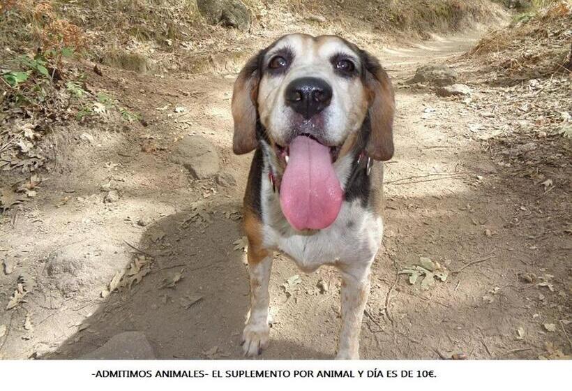 בית מלון כפרי Venta El Molino