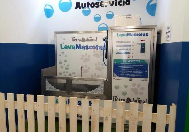 בית מלון כפרי Venta El Molino