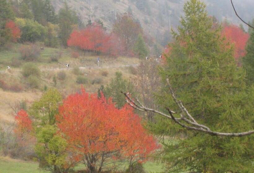 فندق Villa Plinia