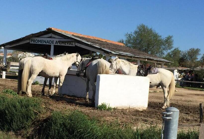 مُتل Myriam Vias Plage