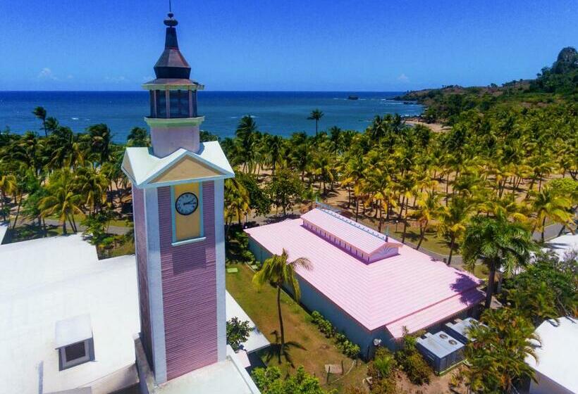 منتجع Playabachata