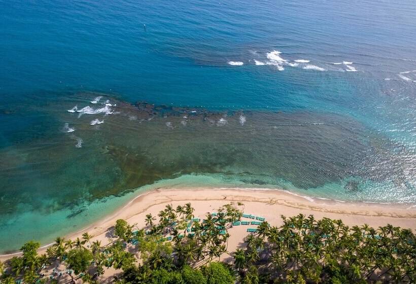 منتجع Playabachata