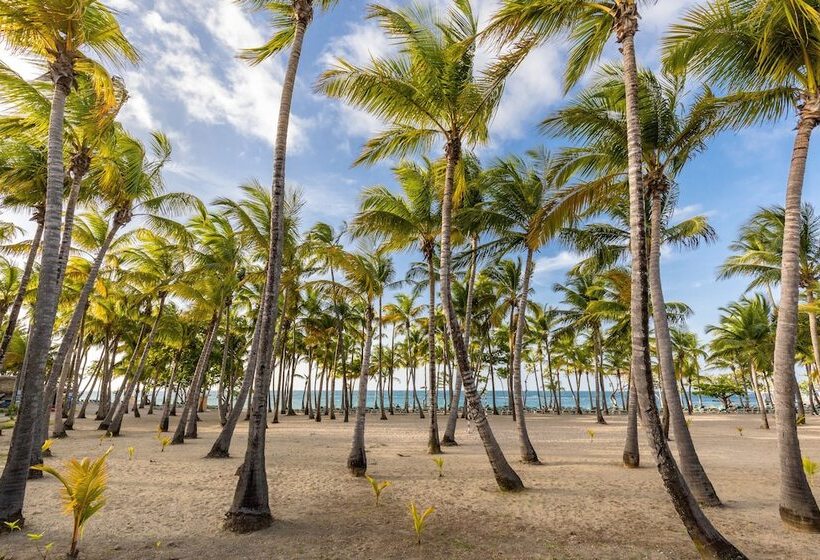 منتجع Playabachata