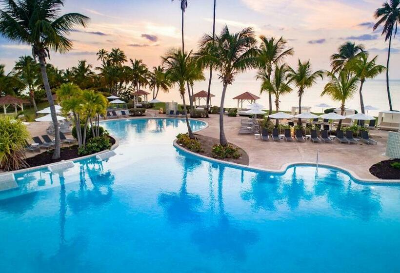استراحتگاه Hyatt Regency Grand Reserve Puerto Rico