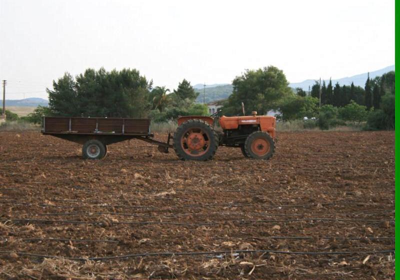 Agriturismo Su Siddaddu