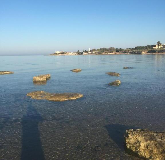 B&b Fiori Gialli Caucana