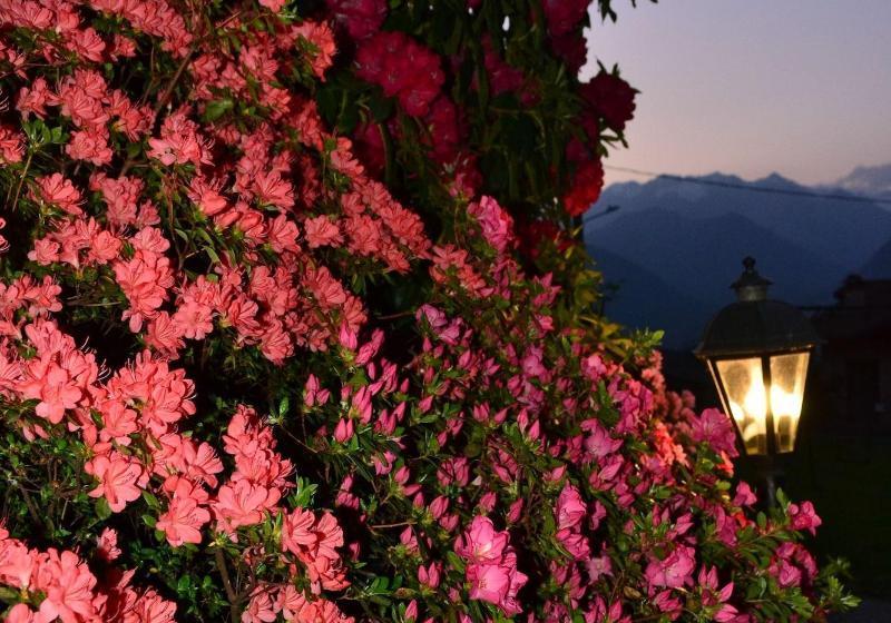 مبيت وإفطار Foresteria Villa Simona