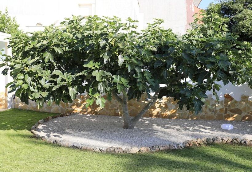 Bed and Breakfast A Casa Di Sofia