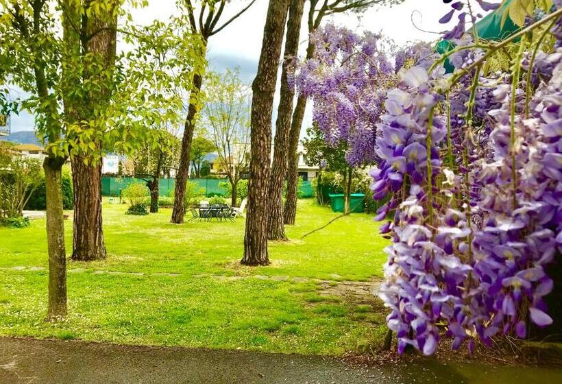 تختخواب و صبحانه Bed&breakfast Benedetta