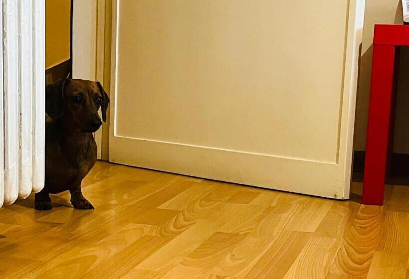 تختخواب و صبحانه Bed&breakfast Benedetta