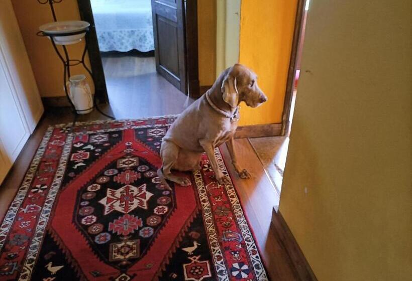 مبيت وإفطار Casa Gavenniae