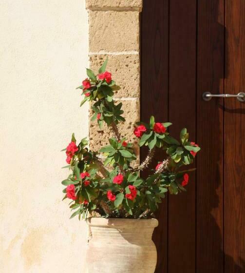 مبيت وإفطار L Antico Trappeto