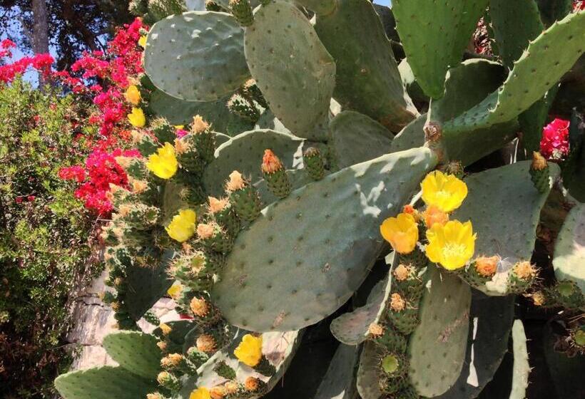 住宿加早餐 Zenzero E Limone