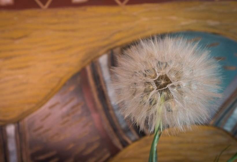 בית מלון כפרי Bio Glamping Toscana Luxury Tents