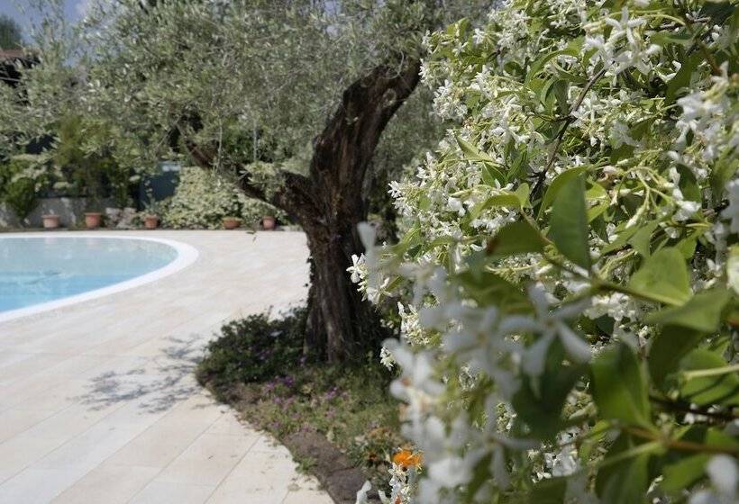 Отель Campeggio Delle Rose