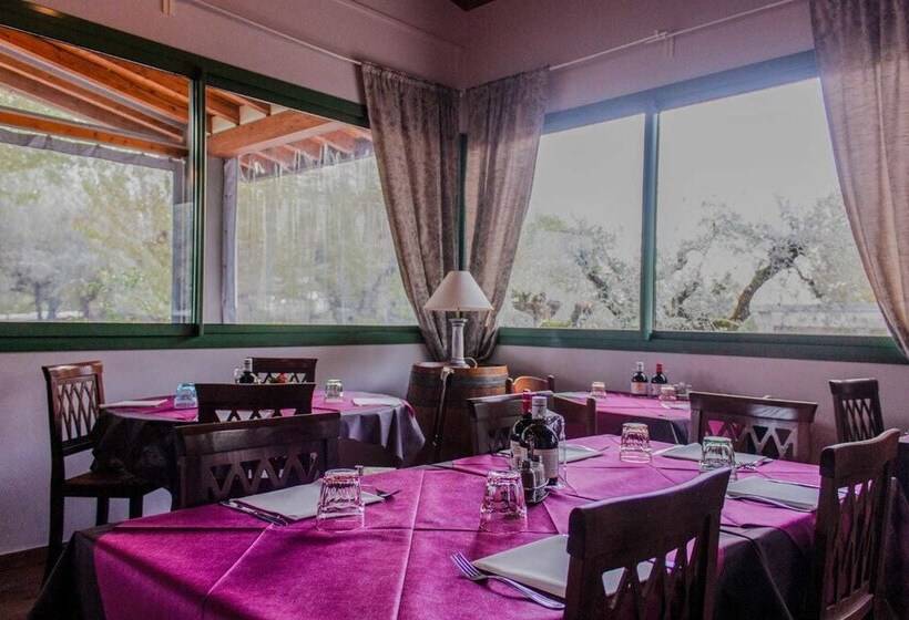 Отель Campeggio Delle Rose