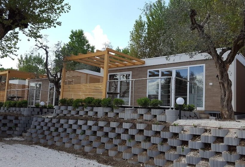 Отель Campeggio Delle Rose