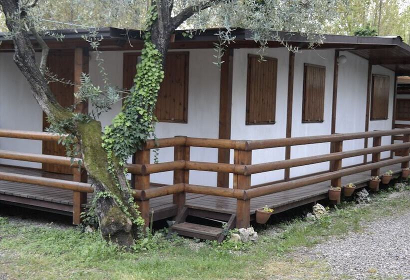 Отель Campeggio Delle Rose