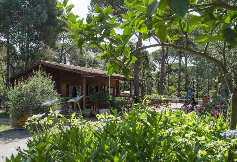 Отель Camping Campo Dei Fiori