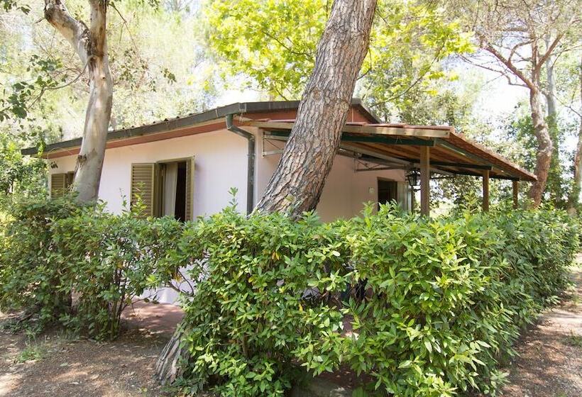 Отель Camping Campo Dei Fiori