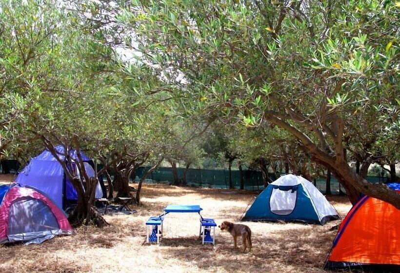 酒店 Camping Ciauli