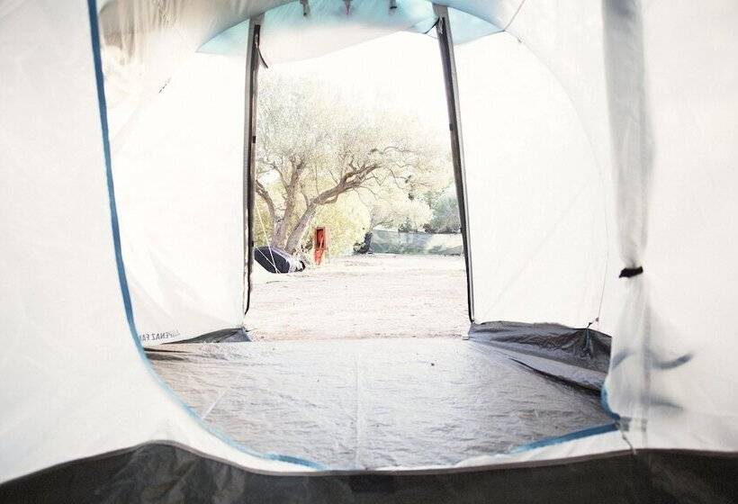 酒店 Camping Ciauli