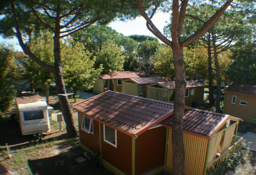 ホテル Camping Village Versilia Mare