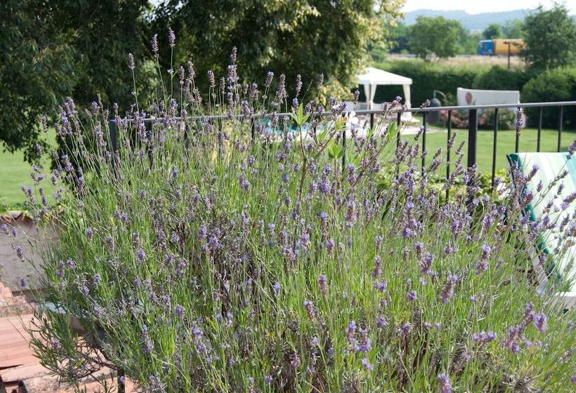 בית מלון כפרי La Corte