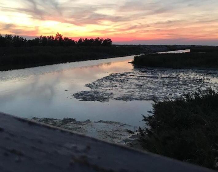 乡村酒店  Agriturismo Ca' Pisani