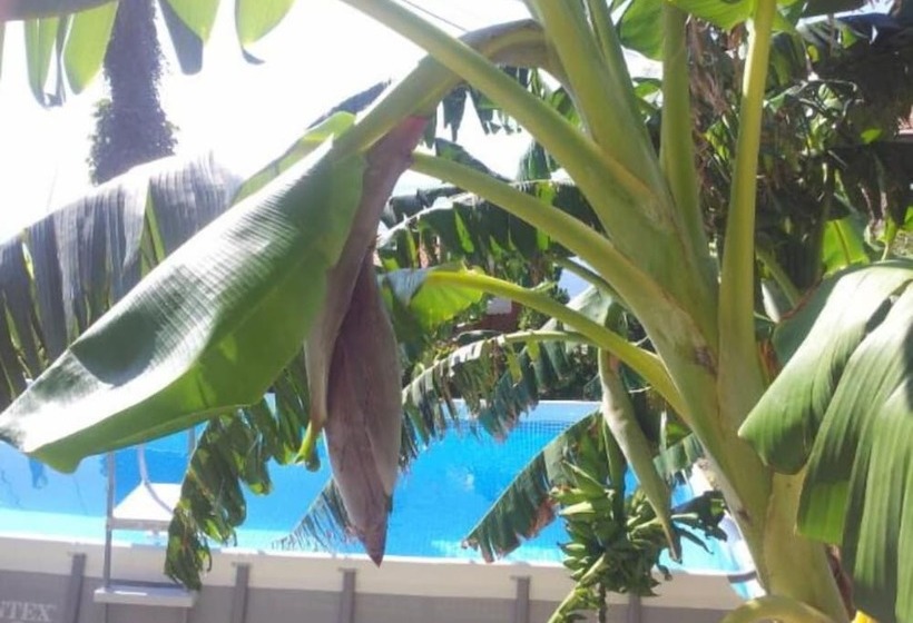 교외 호텔 Agriturismo Ca  De Runde