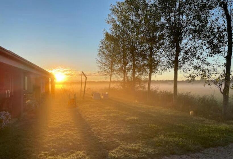 田舎風ホテル Agriturismo Ca' Pisani