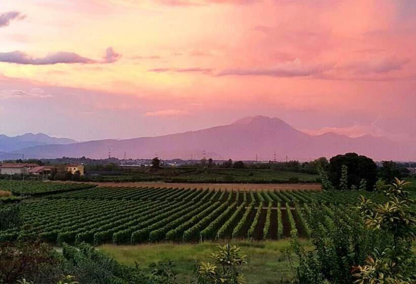 田舎風ホテル Agriturismo Corte Zenati