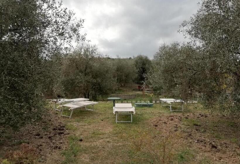 乡村酒店 Agriturismo Green House