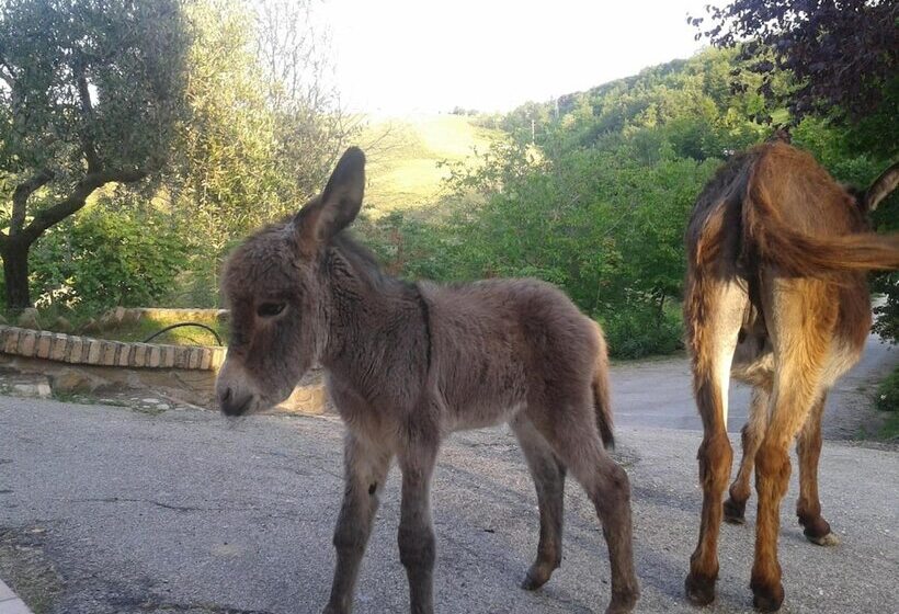 בית מלון כפרי Agriturismo La Vecchia Fontana