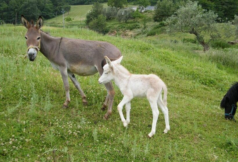 בית מלון כפרי Agriturismo La Vecchia Fontana
