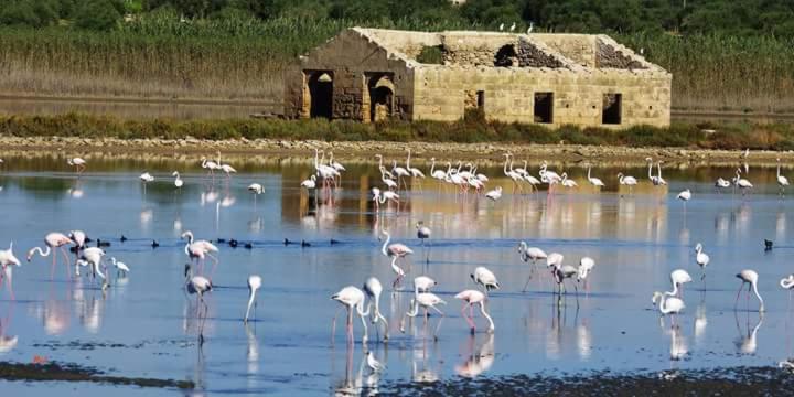 پانسیون Casa Maritrì Locazione Turistica