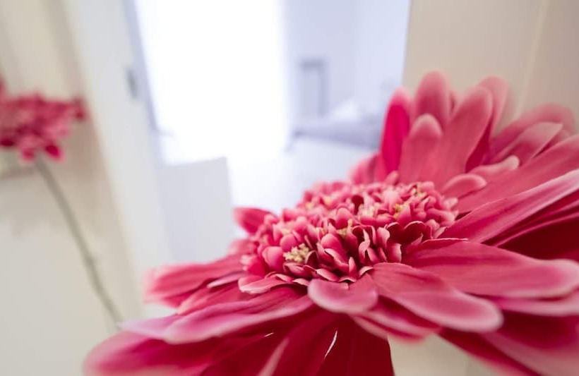 פנסיון Casa Viviana  Bari Policlinico