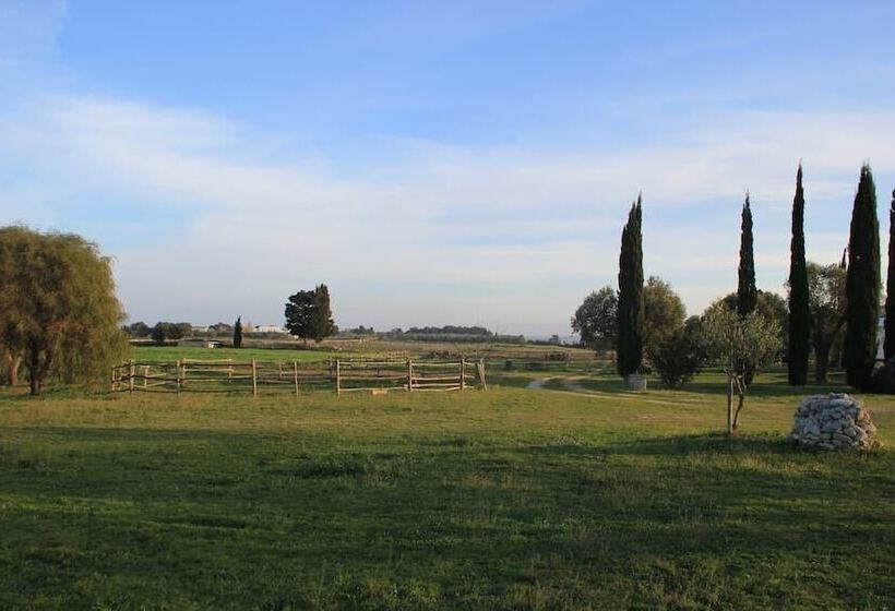 펜션 Podere San Martino