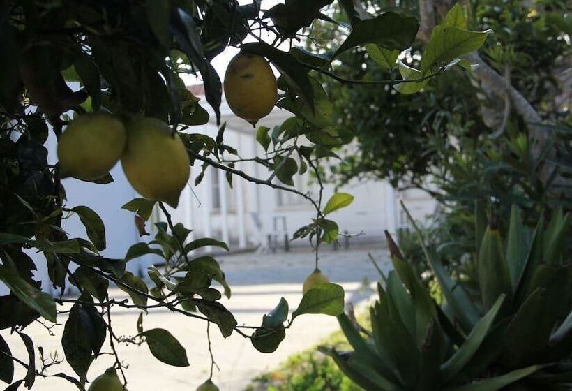 펜션 Podere San Martino