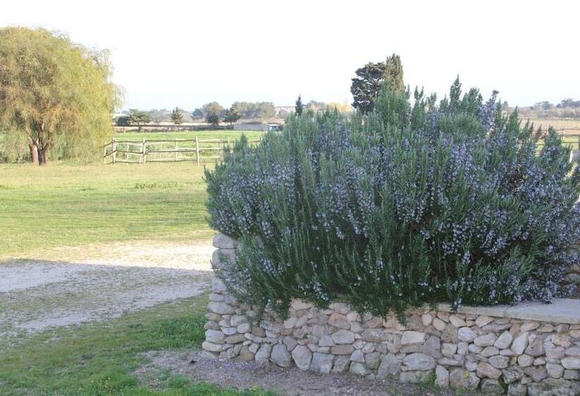 펜션 Podere San Martino