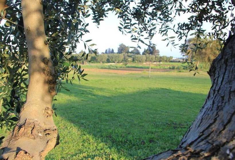 펜션 Podere San Martino