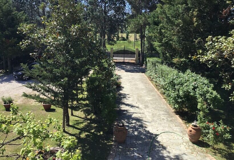 Пансион Somnium