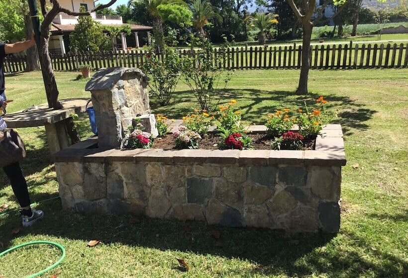 Пансион Somnium