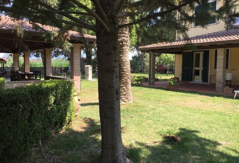 Пансион Somnium