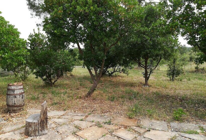 פנסיון Villa Due Trulli