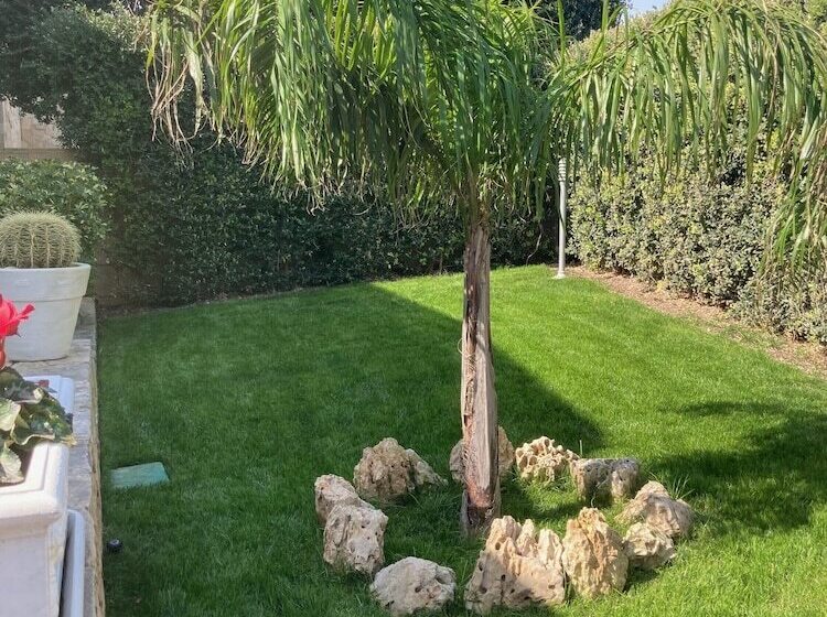 Пансион Villa Marlu