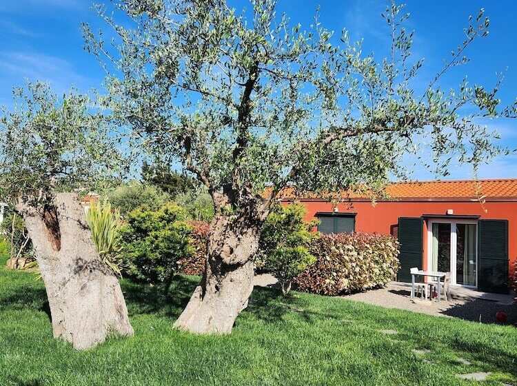 אתר נופש Rebi Village