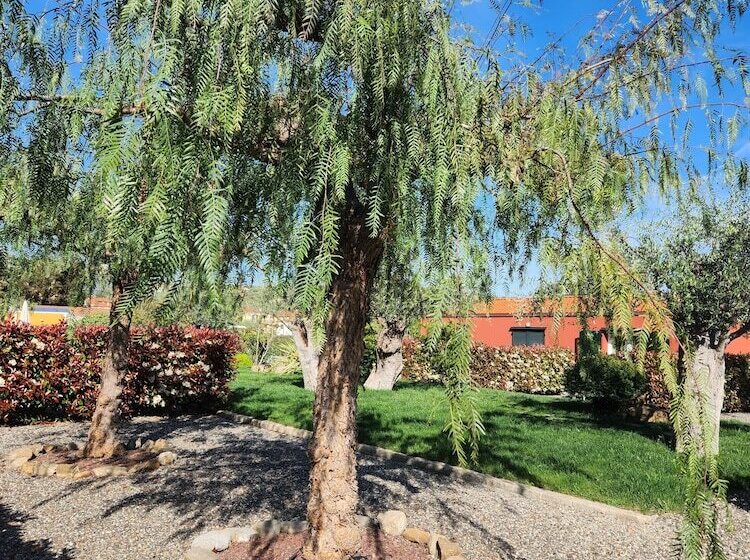 אתר נופש Rebi Village