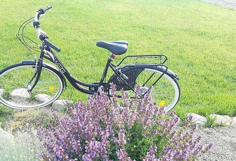 אתר נופש Rebi Village