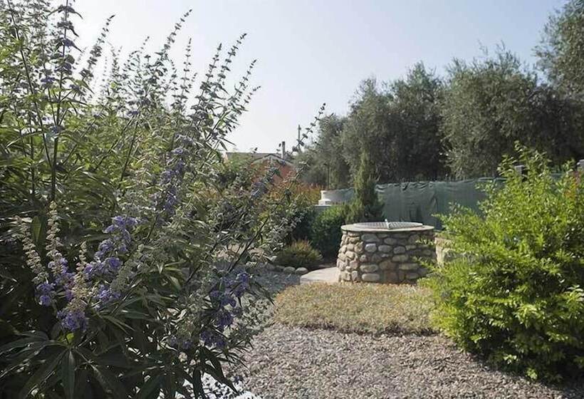 אתר נופש Rebi Village